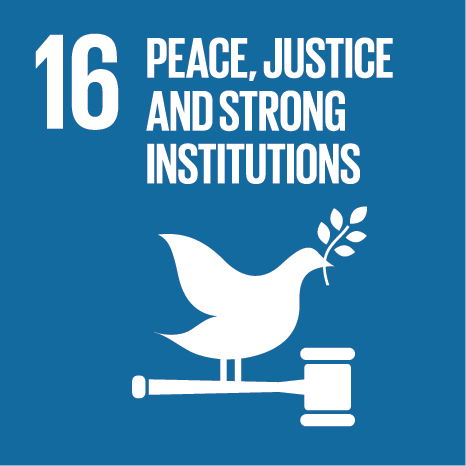 UN SDG Goal 16