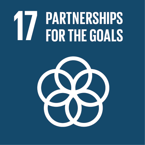 UN SDG Goal 17